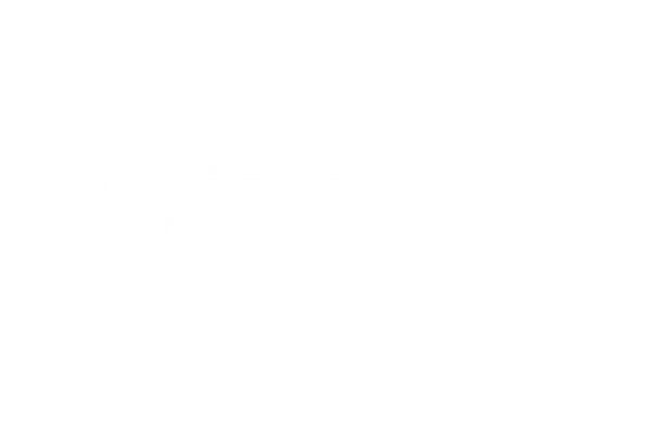 Lumi Consultoria